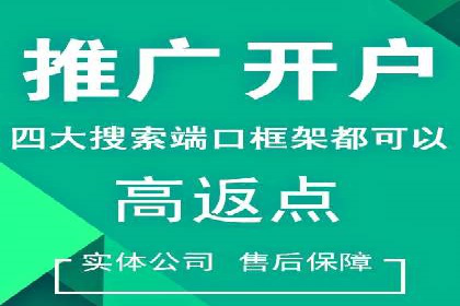 专业网站SEM托管服务案例展示